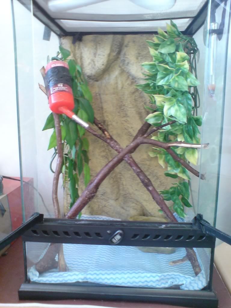 DSC01575.jpg