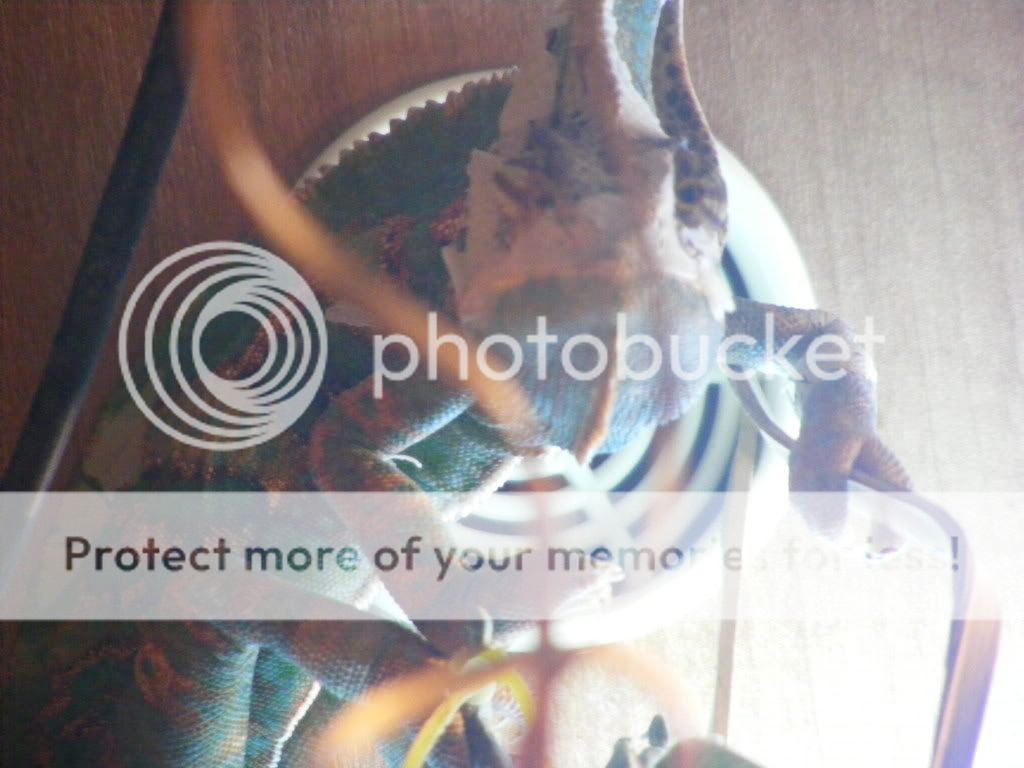 DSCF0312.jpg