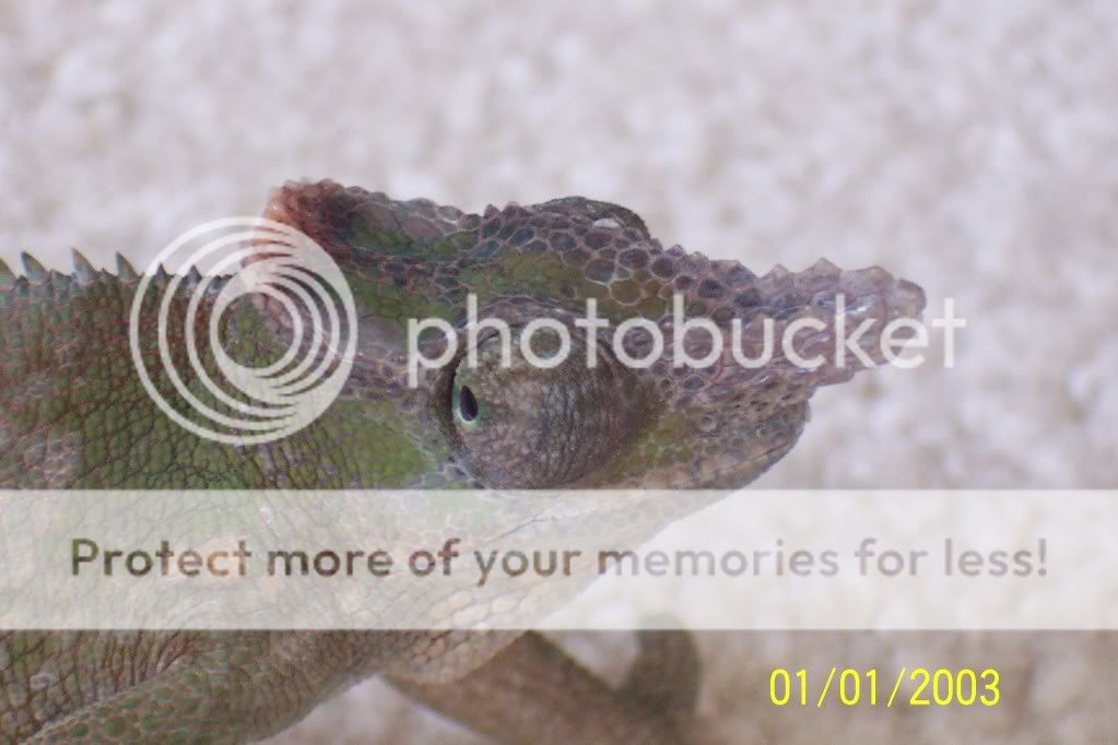 100_2503.jpg