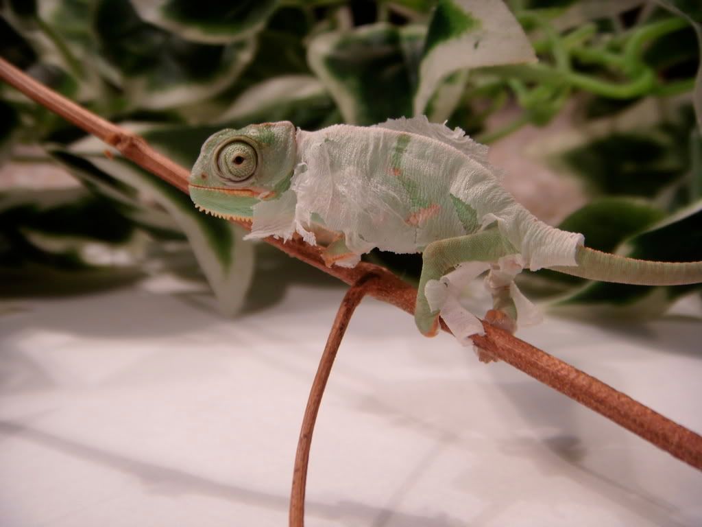 DSCN1545.jpg