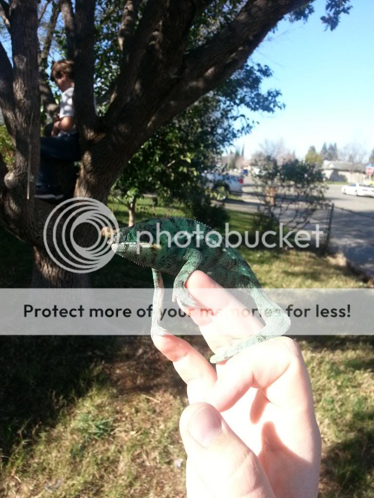 20130309_154218_zpsb6a6fb51.jpg