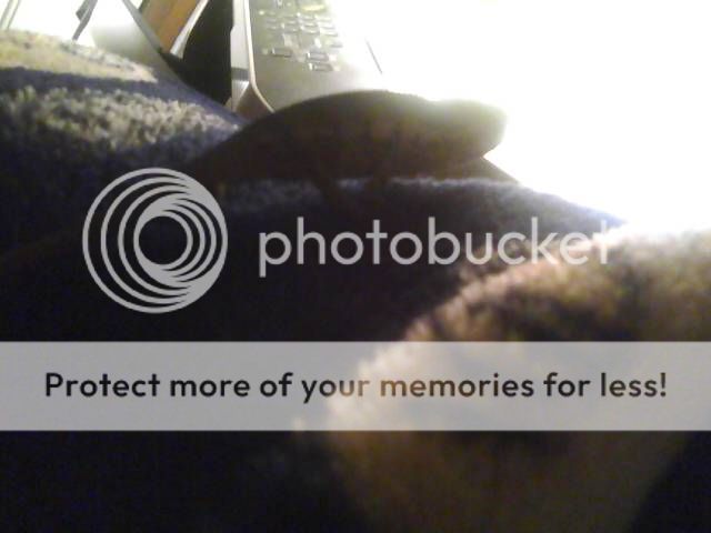1002121939_zps6b3c02ce.jpg