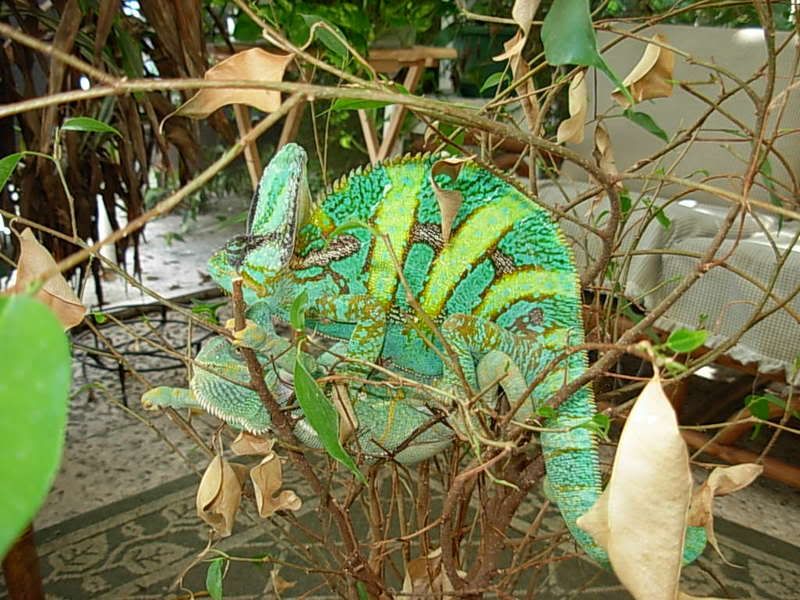 DSCN1719.jpg