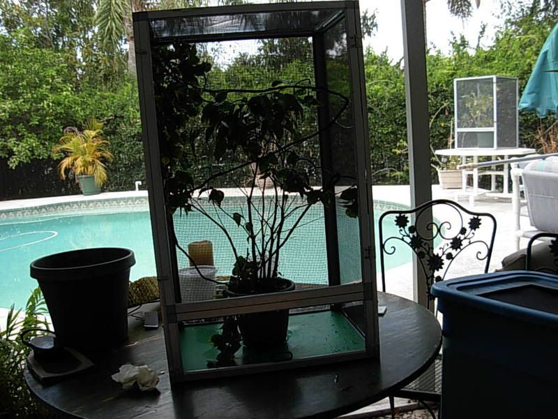 DSCN1039.jpg