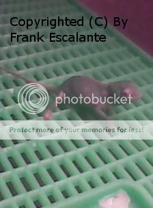 editedImage0052.jpg