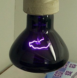 hs_LampClearPurple.jpg