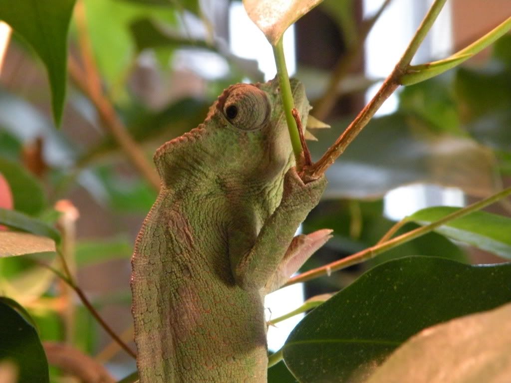 DSCN7859.jpg
