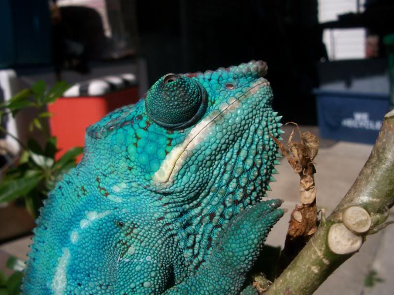 100_6060.jpg