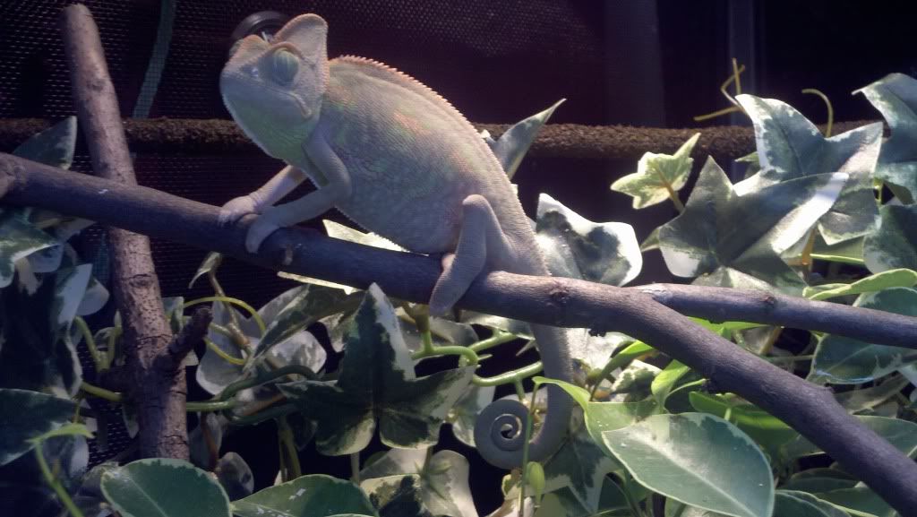 2011-07-24_12-20-26_830.jpg