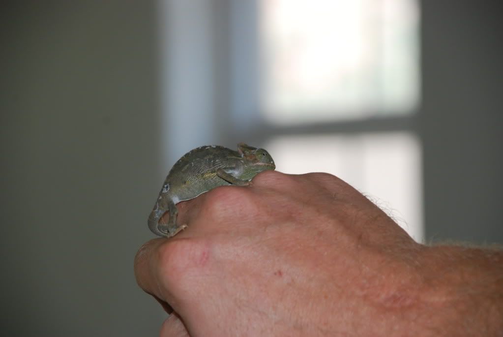 DSC_0027.jpg