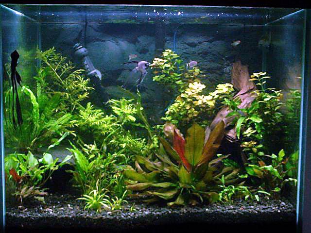 Picture040_edited.jpg