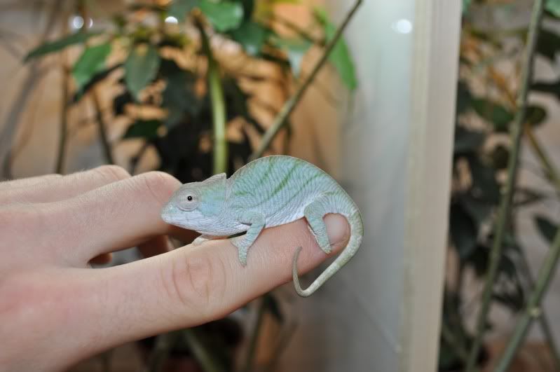 DSC_0088.jpg