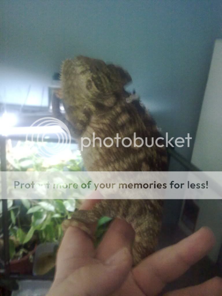 11092010202.jpg