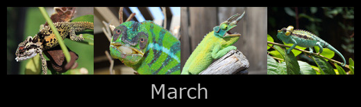 march.jpg