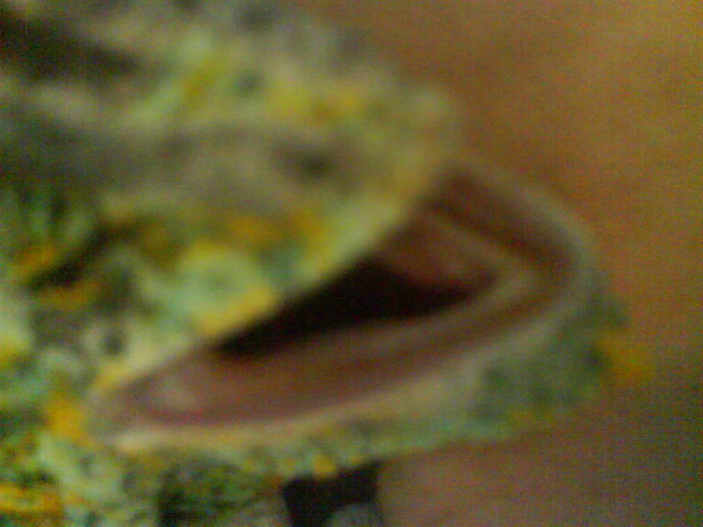 DSC00055.jpg