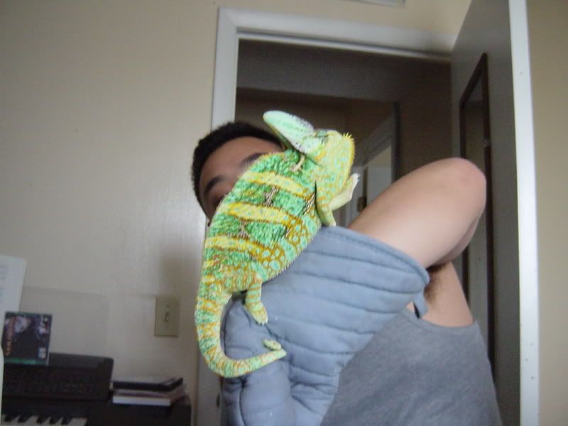 DSC02356.jpg