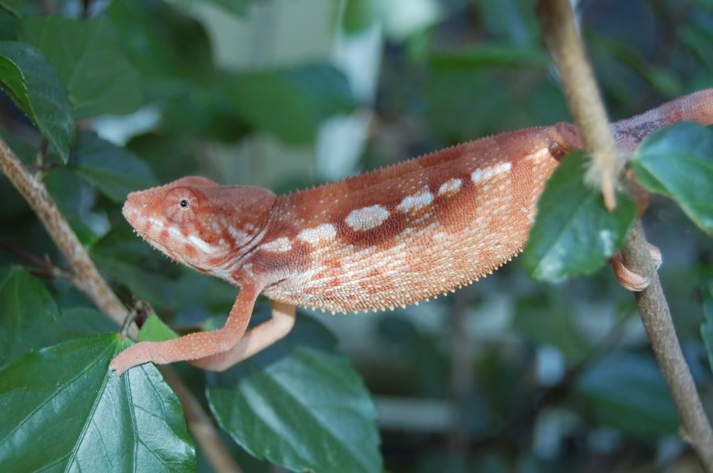 DSC_1255.jpg