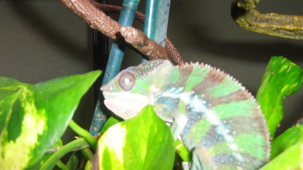 IMG_0123.jpg
