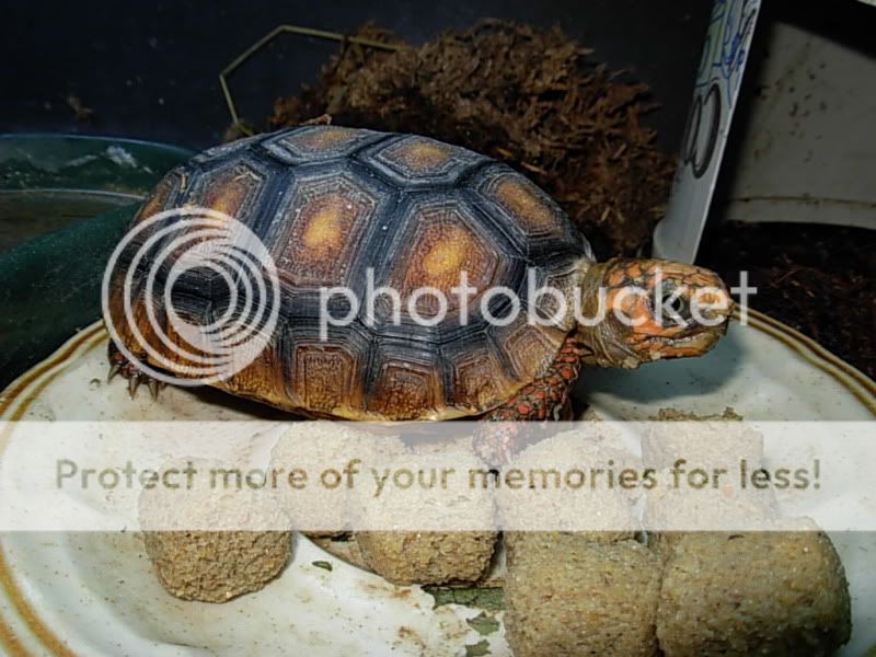 DSCN7563.jpg