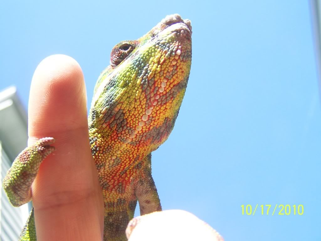 100_3830.jpg
