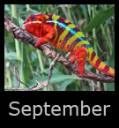 9september.jpg