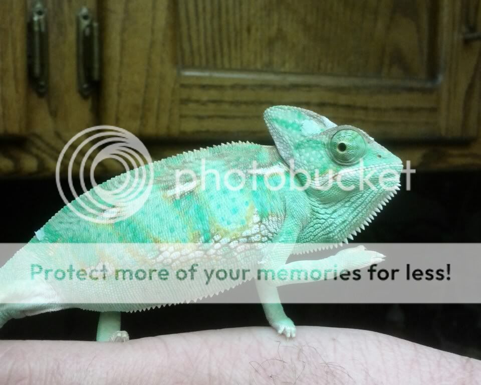 LB_05_18_2012.jpg