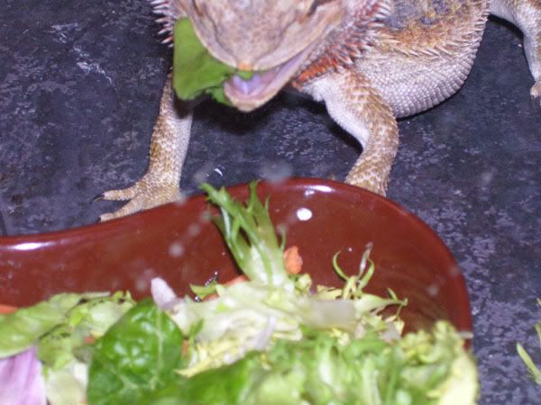 MindyFoodMouth.jpg