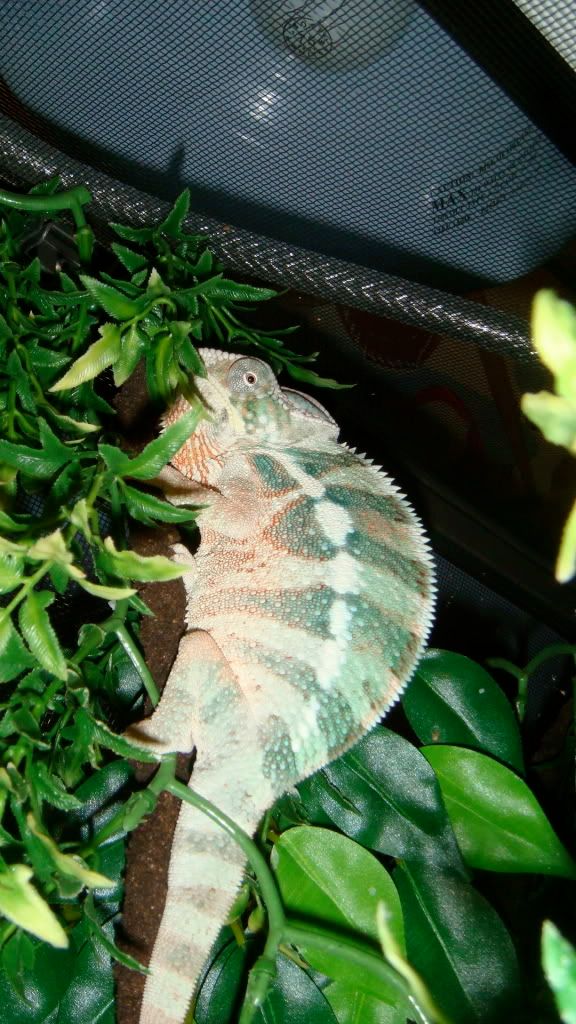 DSC01729.jpg