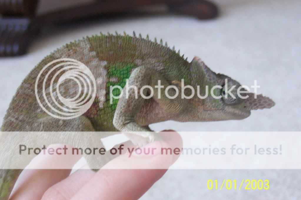 100_2504.jpg