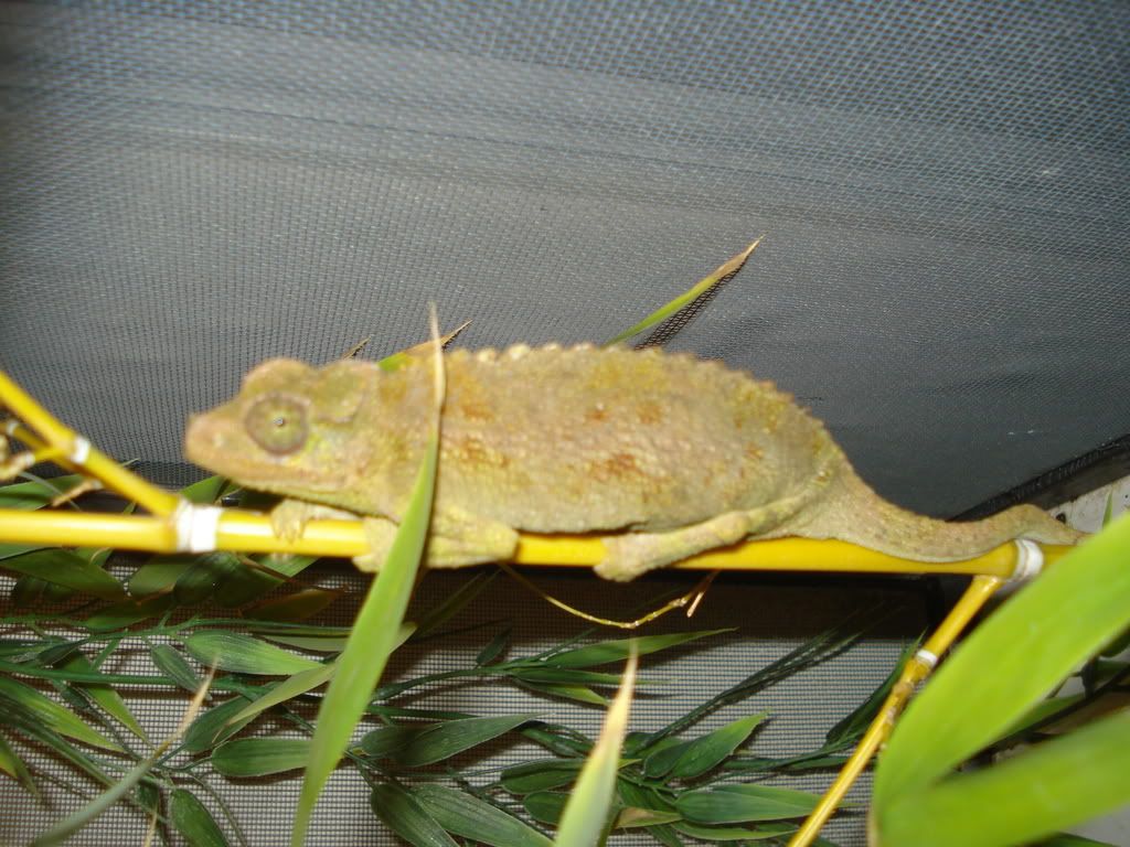 DSC00820.jpg