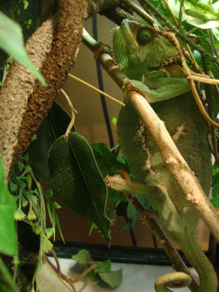 DSC02500.jpg