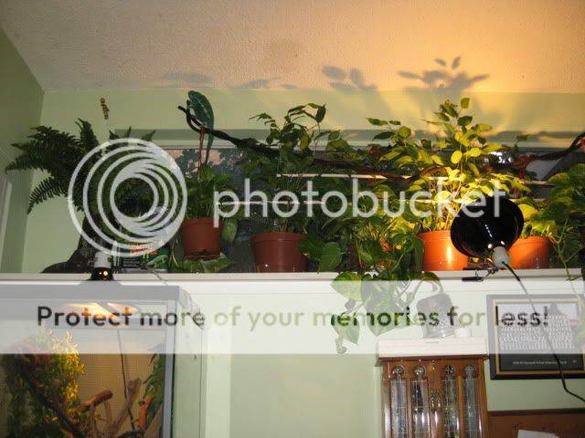 IMG_1864.jpg