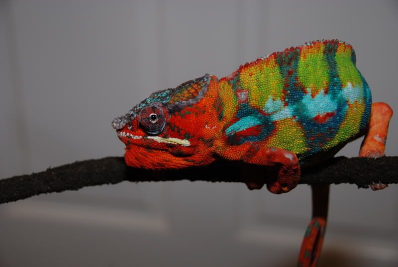 20071015066.jpg