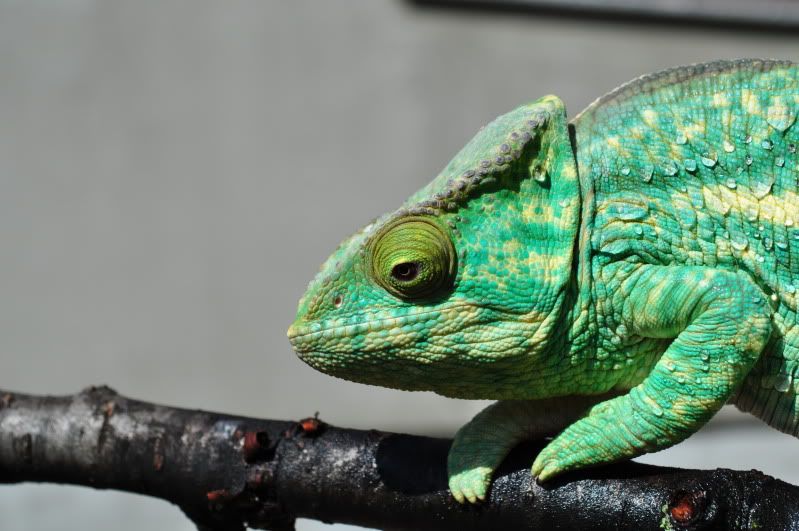 DSC_0322.jpg