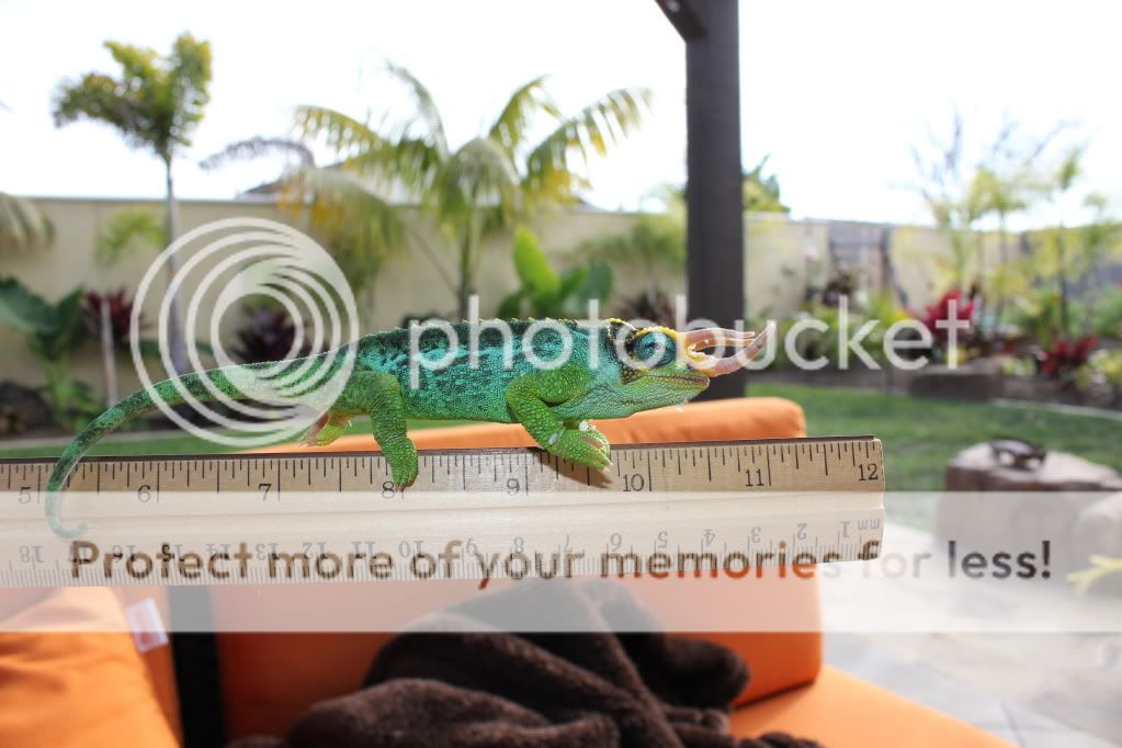 IMG_2568.jpg