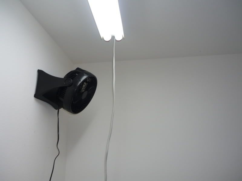 P1000712.jpg