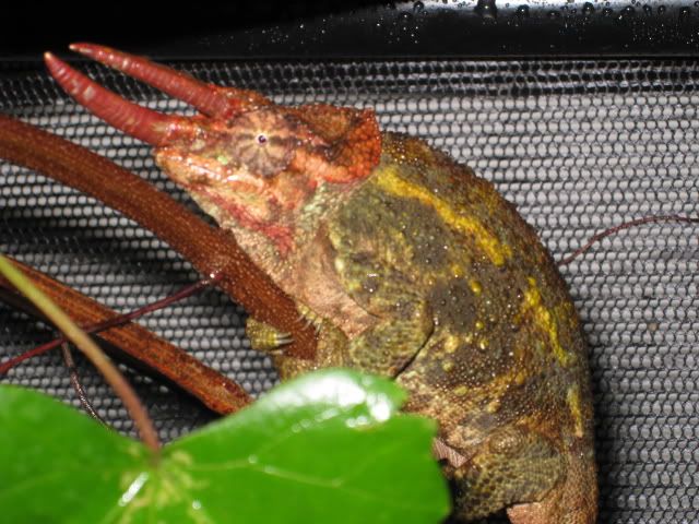 IMG_0509.jpg