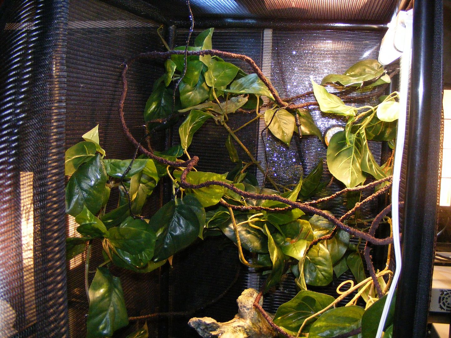 DSCF0343.jpg