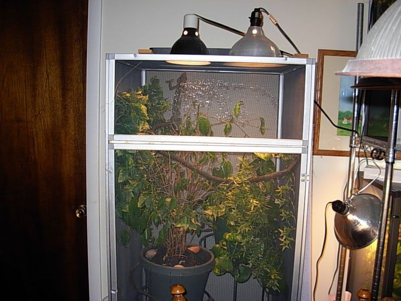 DSCN2215.jpg