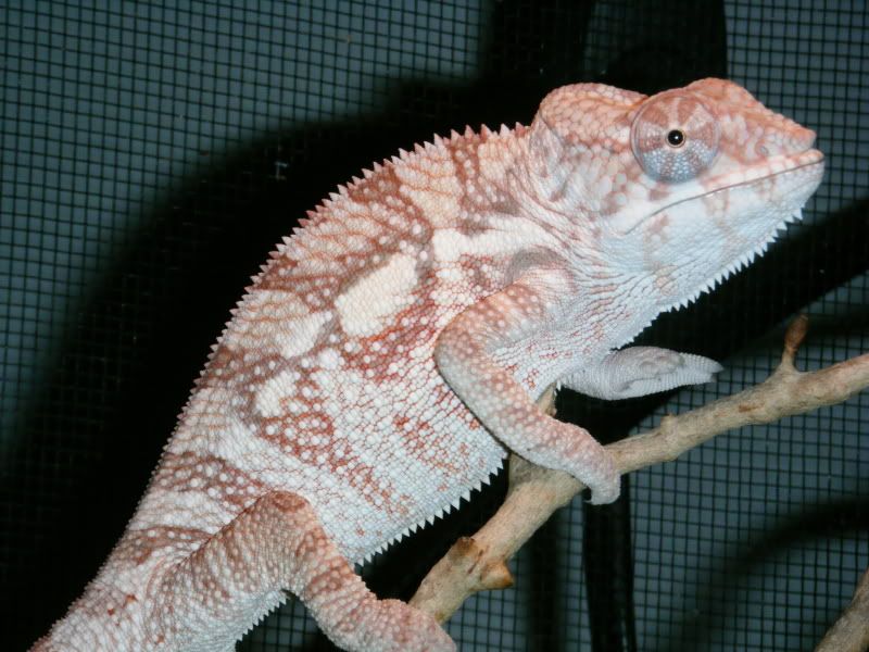 baby013.jpg