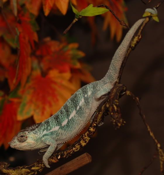 DSC_2063.jpg