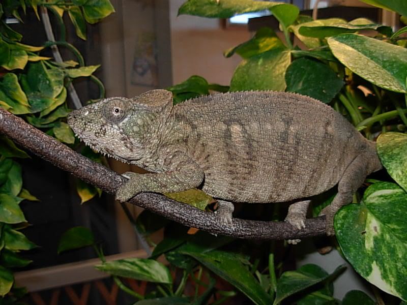 DSCN3625.jpg