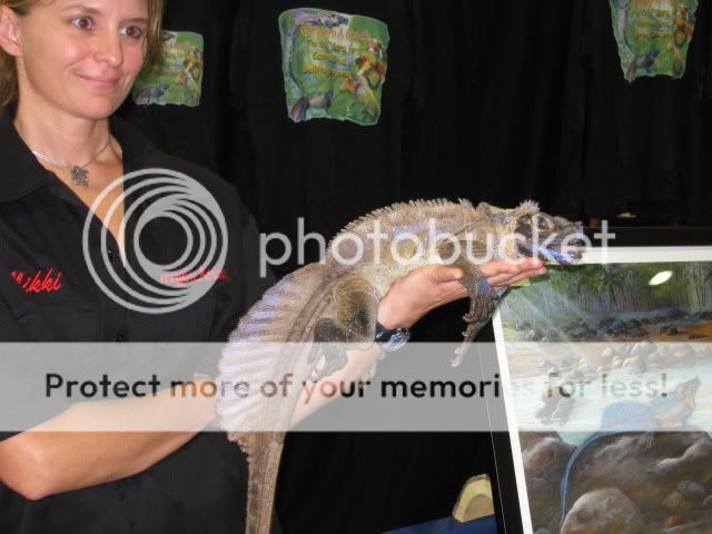 IMG_2564.jpg