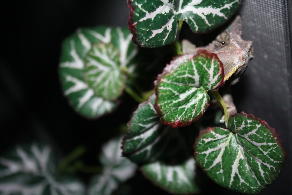 january202011011.jpg