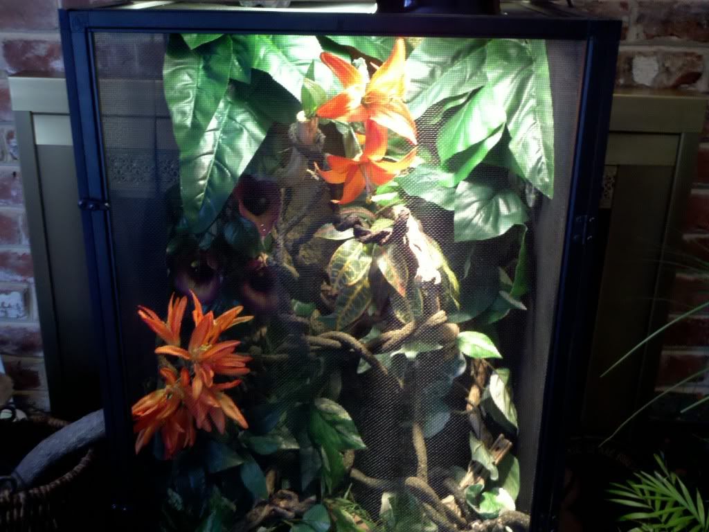 2011-01-10_11-59-56_731.jpg