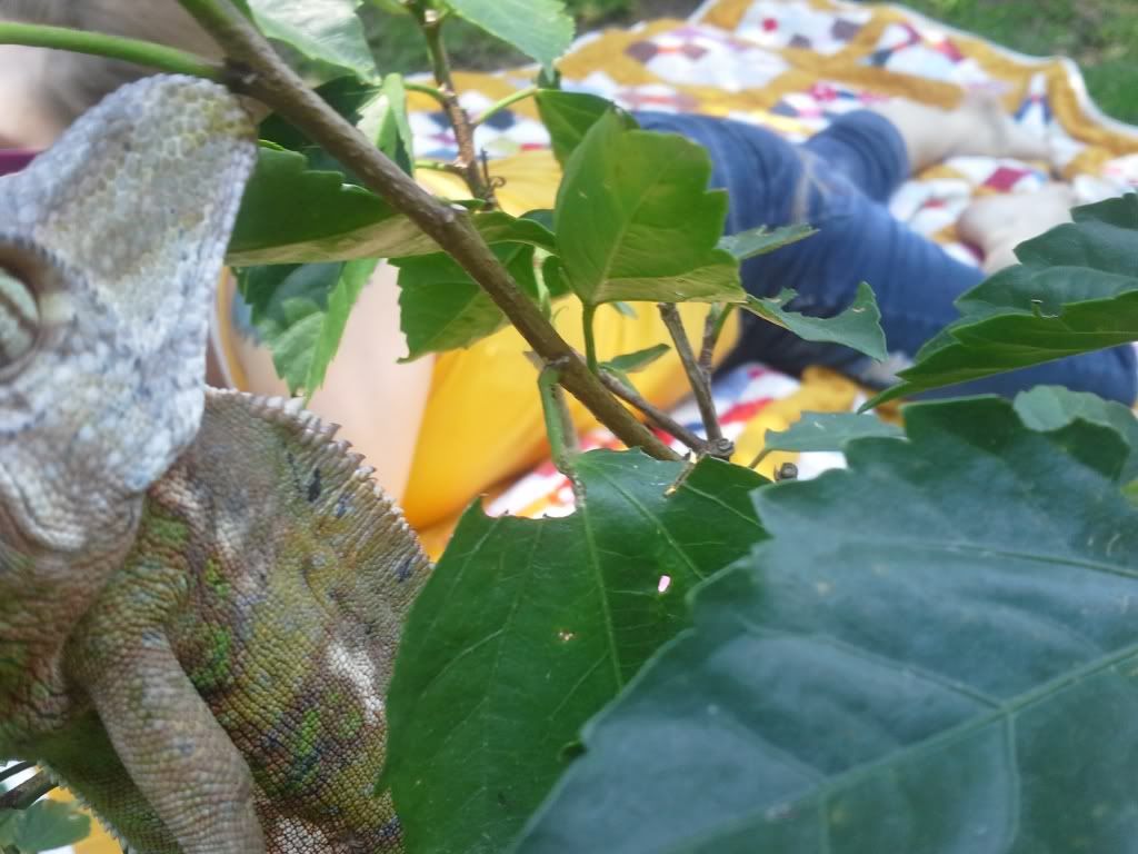 20130706_132053.jpg