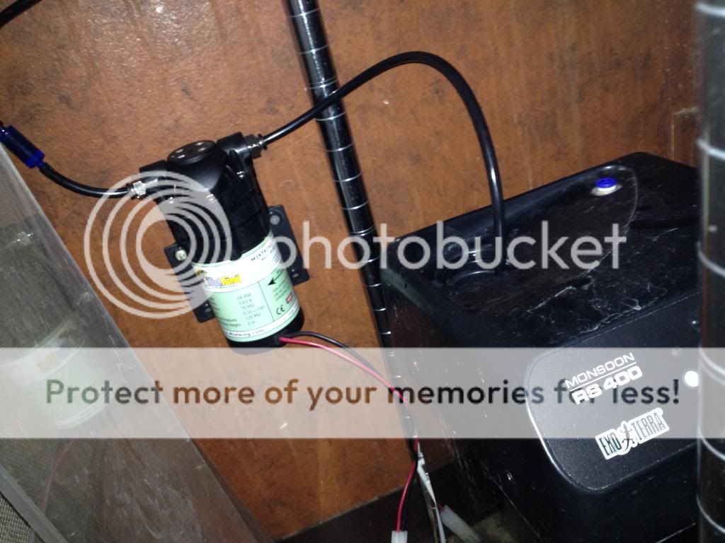 photo_zps6619bc0e.jpg