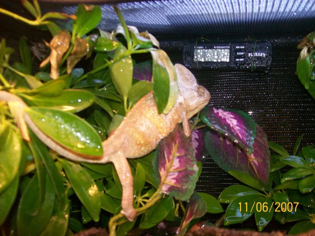 000_0005-7.jpg