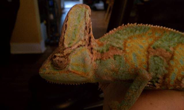 IMAG0182.jpg
