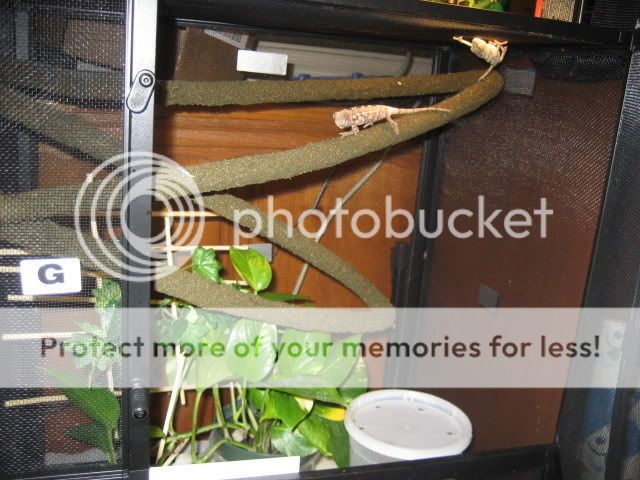 IMG_1141.jpg
